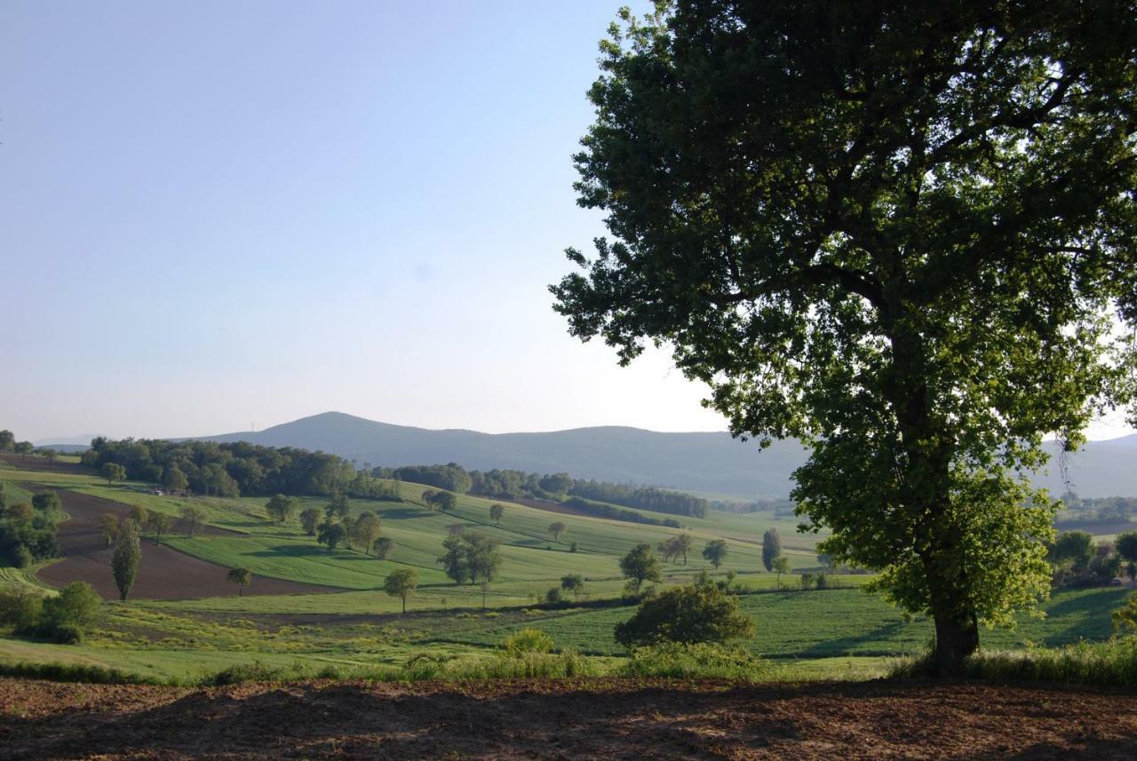 Bilocale Verde Umbria Montecastrilli Exterior foto