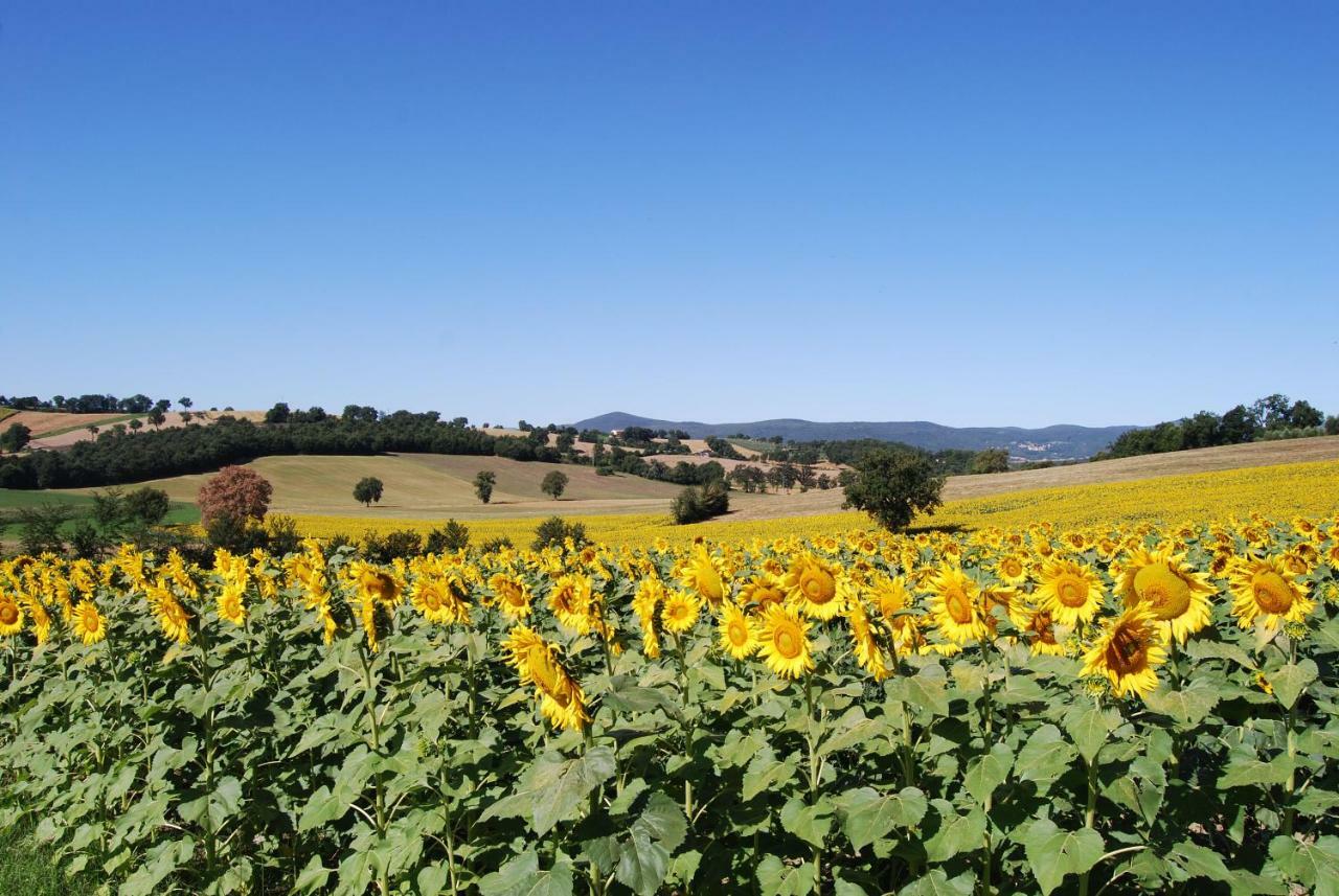 Bilocale Verde Umbria Montecastrilli Exterior foto